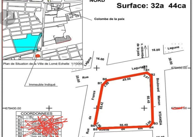 Terrain commercial de 3 244 m² à vendre à Amoutiévé Lomé – Emplacement idéal près du carrefour Colombe de la Paix